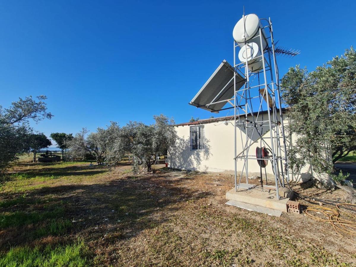Spacious Studio In Yeroskipou Koloni Exterior photo